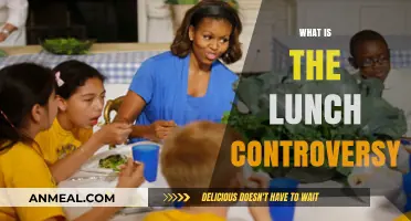 Decoding the Debate: Understanding the Lunch Controversy