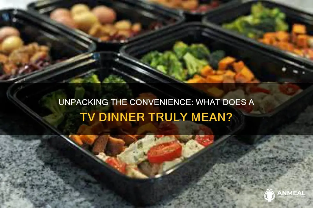 what is the meaning of a tv dinner