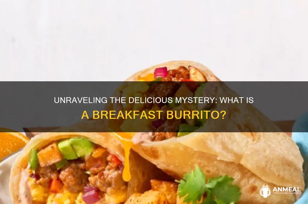what is the meaning of breakfast burrito