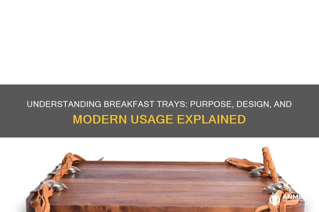 what is the meaning of breakfast trays