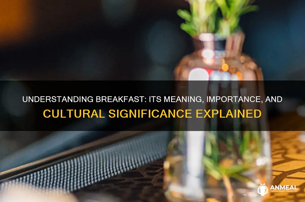 what is the meaning of breakfast