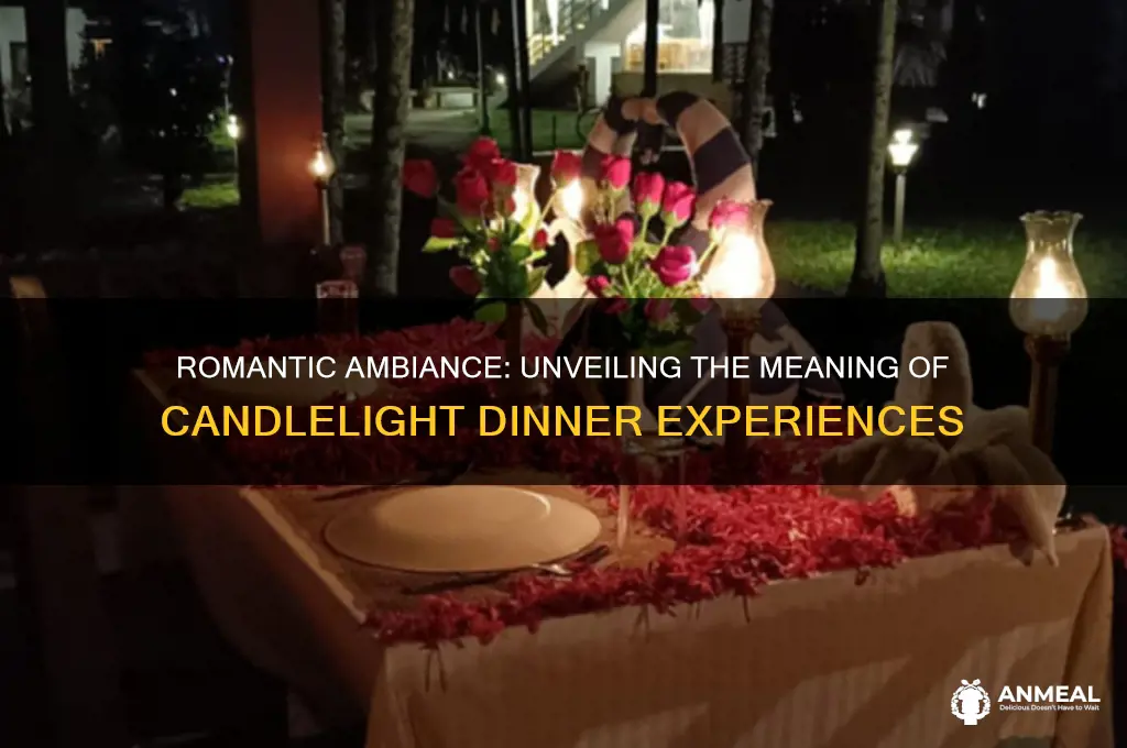 what is the meaning of candle light dinner