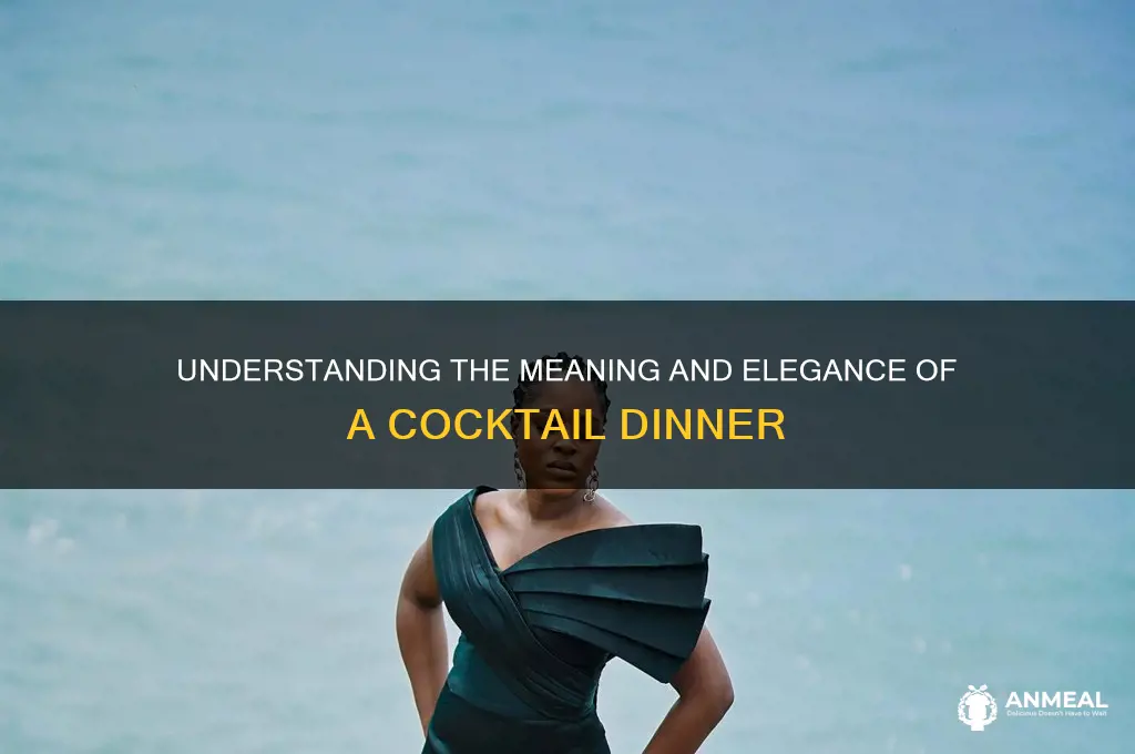 what is the meaning of cocktail dinner