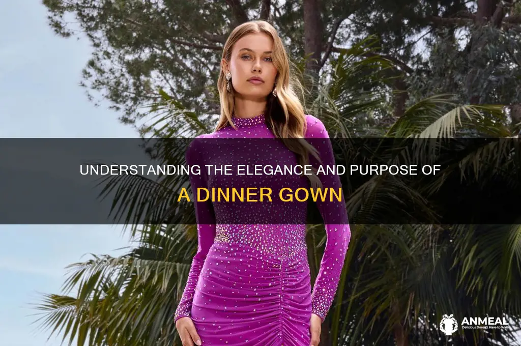what is the meaning of dinner gown