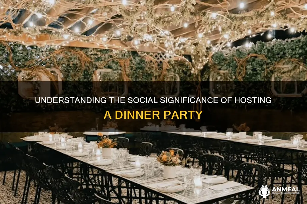 what is the meaning of dinner party