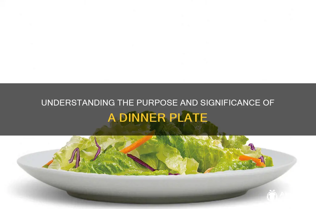 what is the meaning of dinner plate