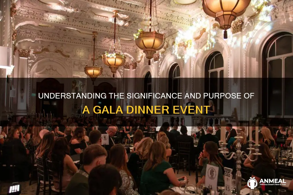 what is the meaning of gala dinner
