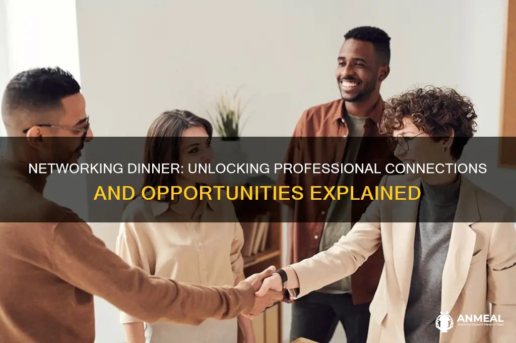 what is the meaning of networking dinner