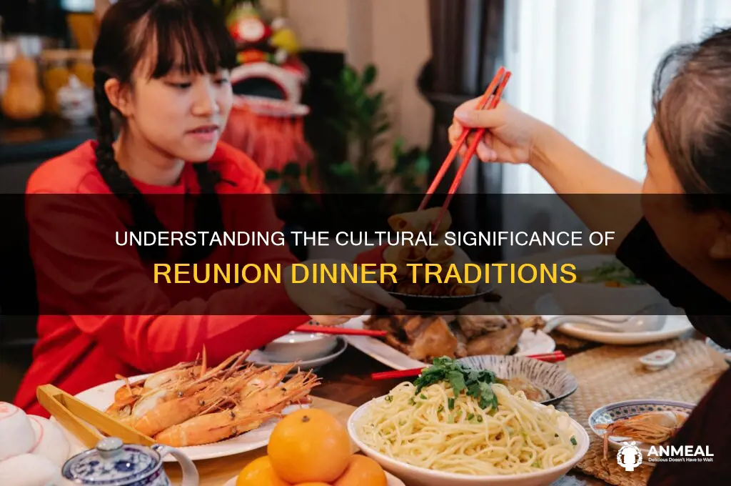 what is the meaning of reunion dinner