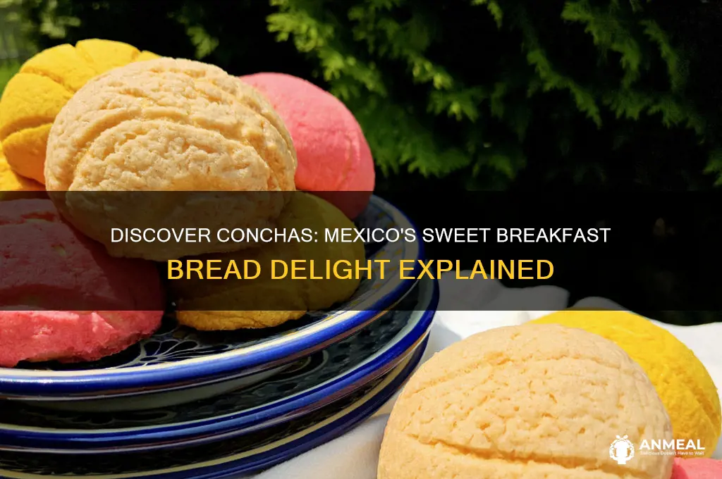 what is the mexican breakfast item conchas