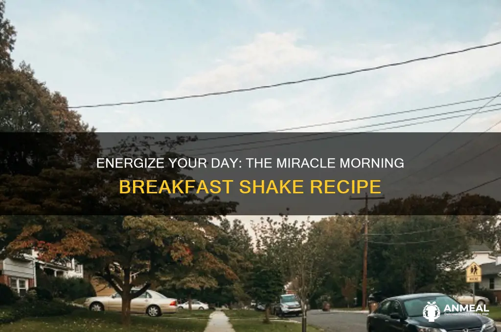 what is the miracle morning breakfast shake recipe