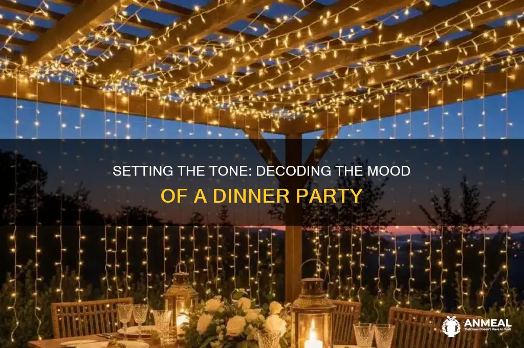 what is the mood of the dinner party