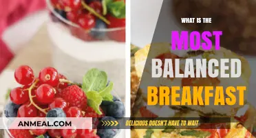 The Perfectly Balanced Breakfast: Nutrient-Rich, Energizing, and Delicious