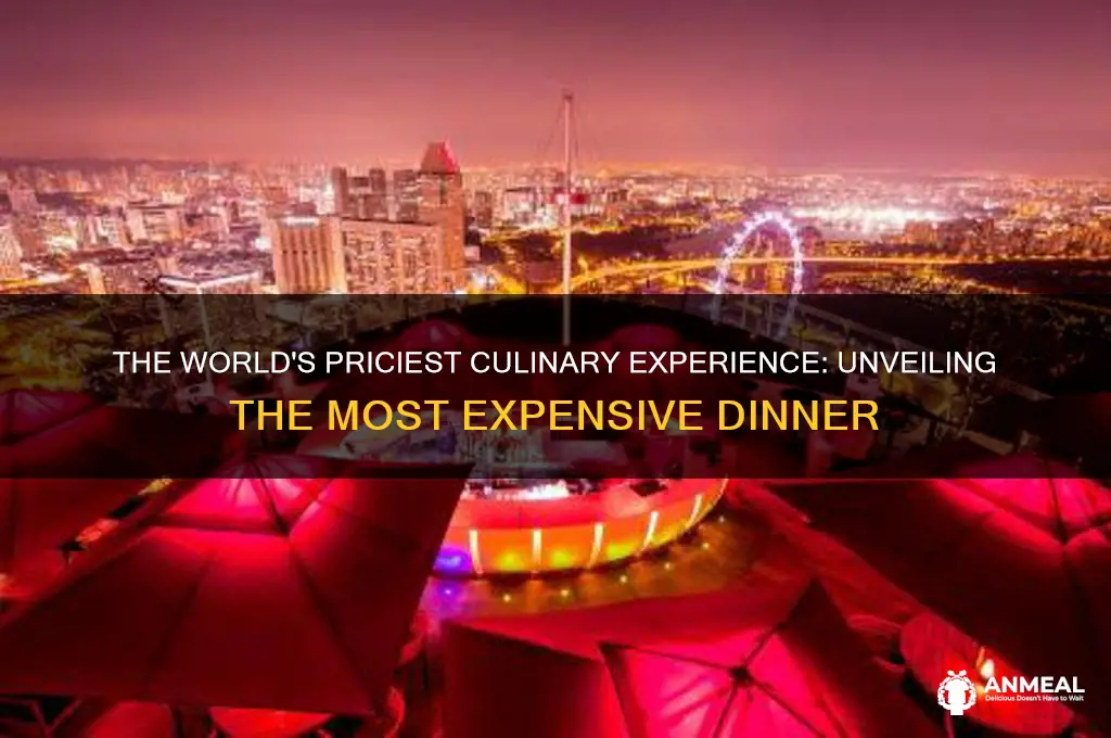 what is the most expensive dinner in the world