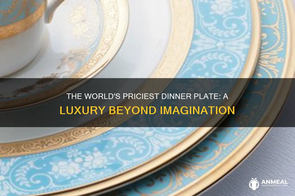 what is the most expensive dinner plate