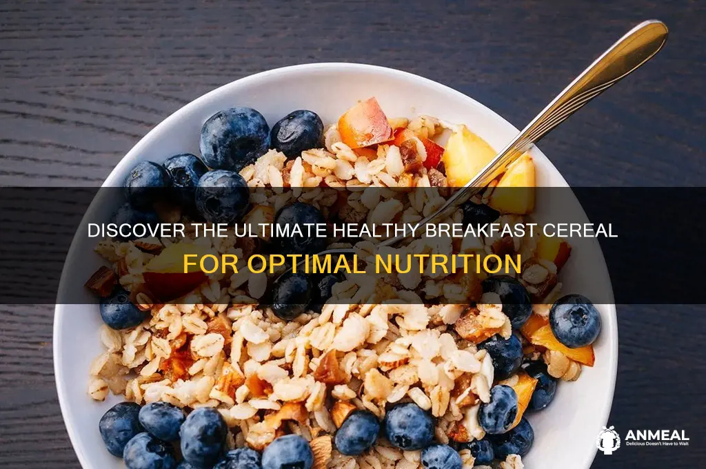 what is the most healthiest breakfast cereal