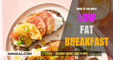 Healthy Low-Fat Breakfast Ideas for a Nutritious Morning Start