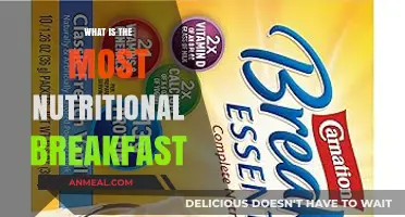 Nutritional Breakfast Essentials: Fuel Your Day with Healthy Choices