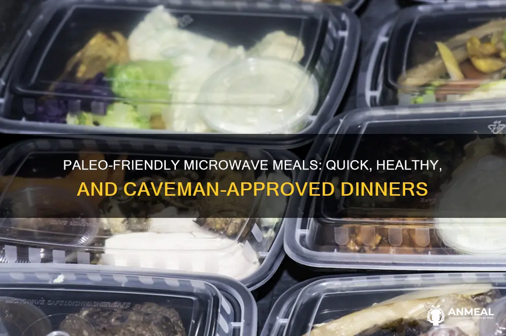 what is the most paleo friendly microwave dinner