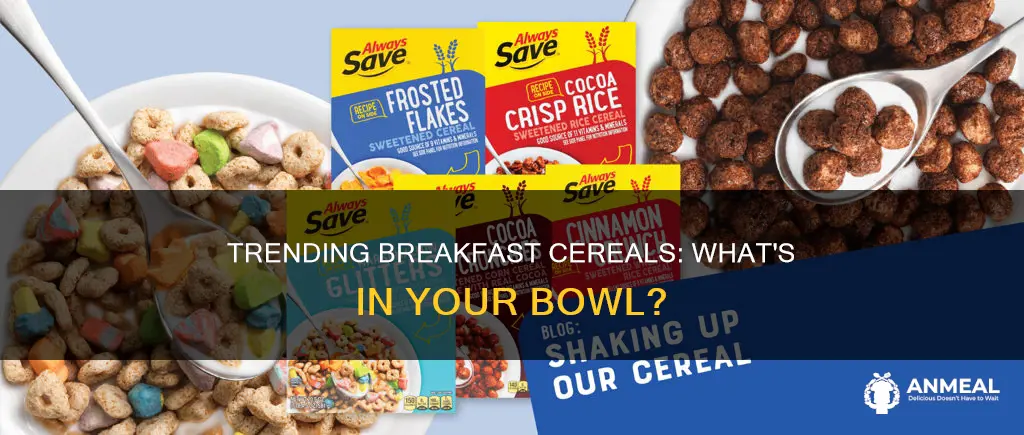 what is the most popular breakfast cereal
