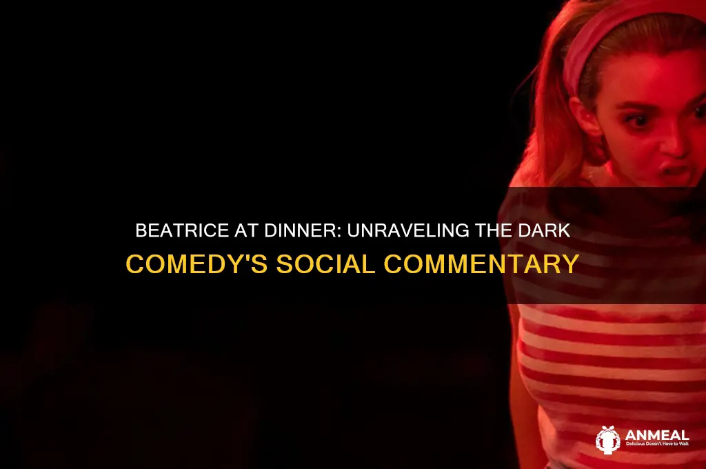 what is the movie beatrice at dinner about