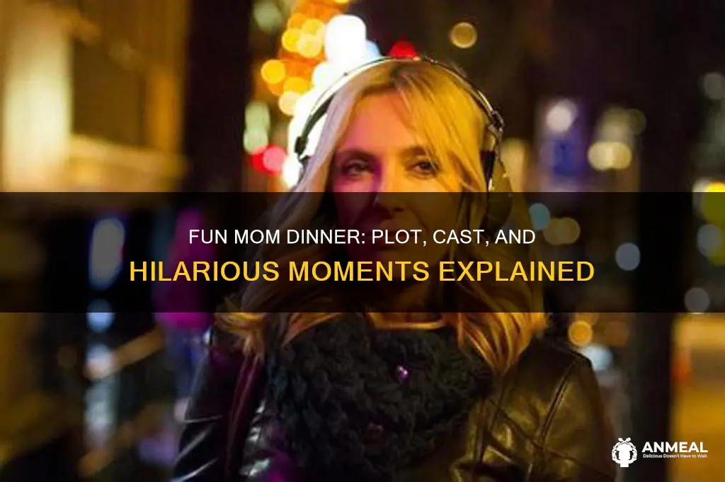 what is the movie fun mom dinner about