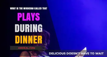Dinner Music Maestro: Exploring the Role of the Evening Entertainer