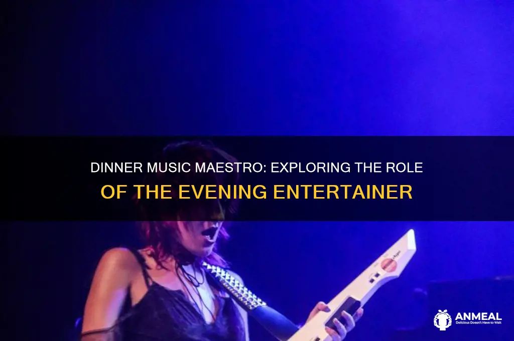 what is the musician called that plays during dinner