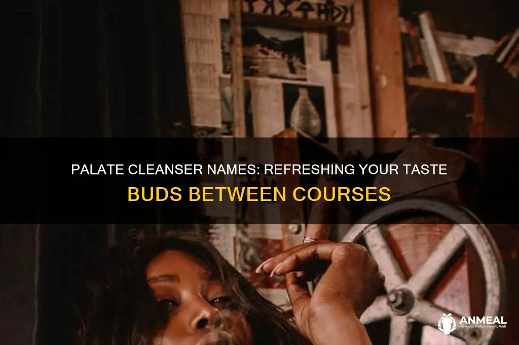 what is the name of a palate cleanser at dinner