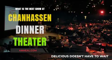 Upcoming Chanhassen Dinner Theater Show: What's Next on Stage?