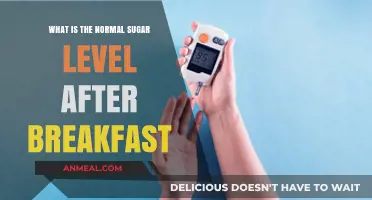 Understanding Normal Blood Sugar Levels After Breakfast: A Healthy Guide