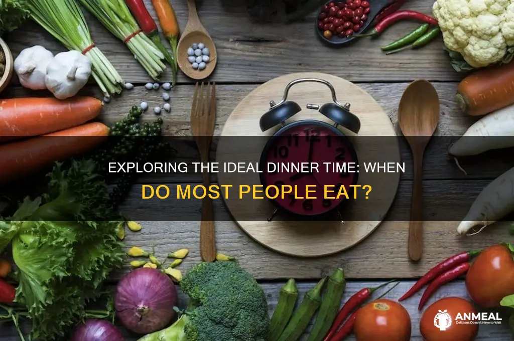 what is the normal time for dinner