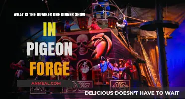 Pigeon Forge's Top Dinner Show: An Unforgettable Evening Experience