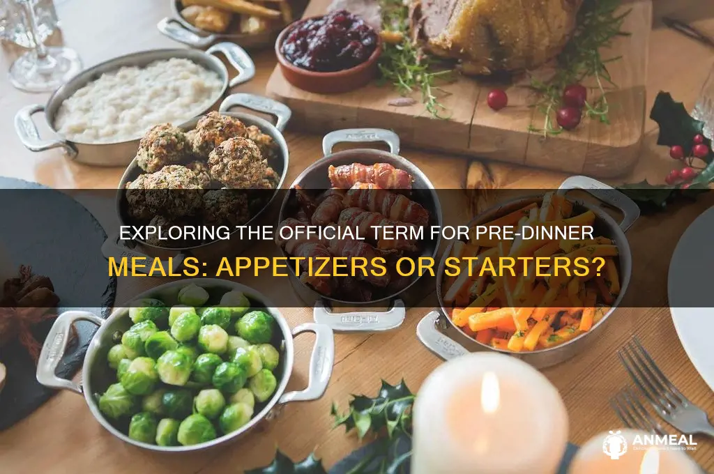 what is the official term of pre dinner meals