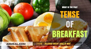 Exploring the Past Tense of Breakfast: Grammar and Usage Explained