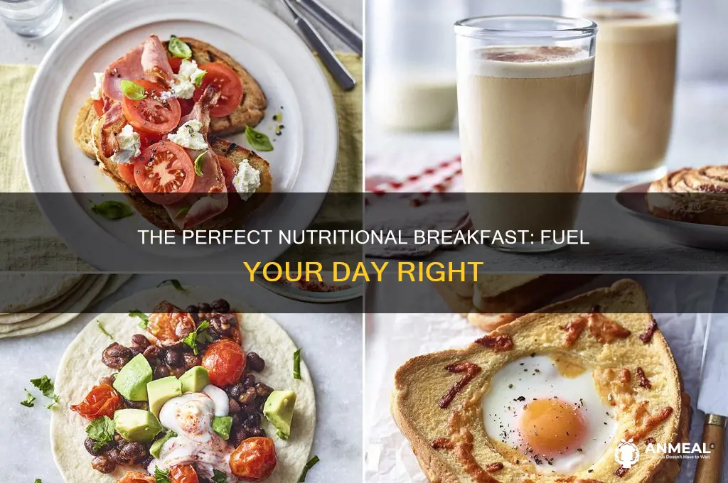 what is the perfect nutrional breakfast