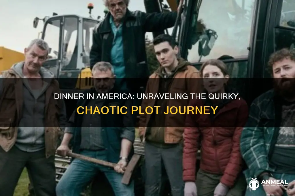 what is the plot of dinner in america