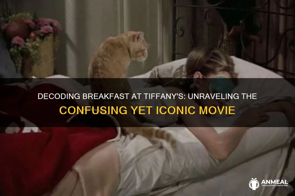 what is the point to breakfast at tiffanymovieb confusingvie