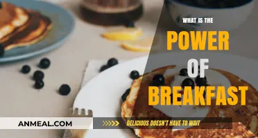 Unlocking Energy and Focus: The Power of Breakfast Explained