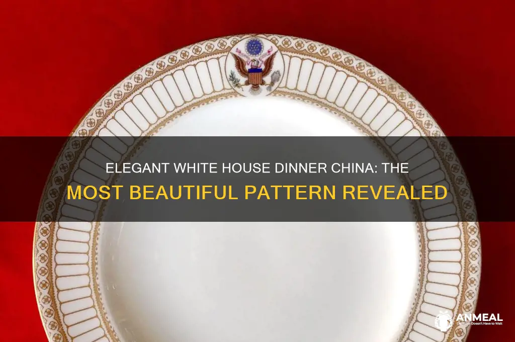 what is the prettiest white house dinner china pattern