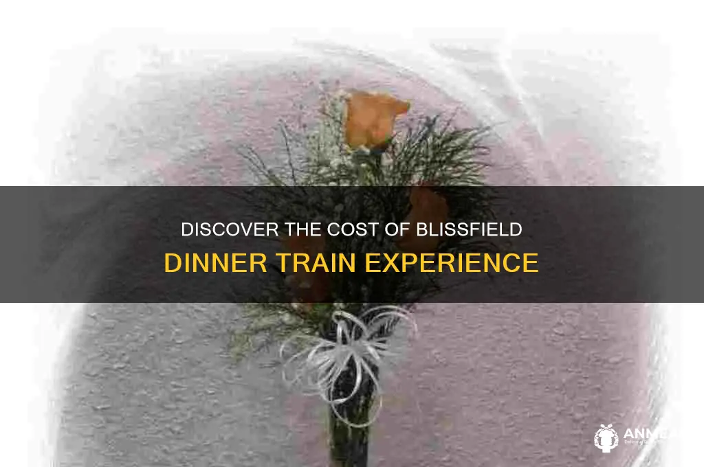 what is the price of the blissfield dinner train