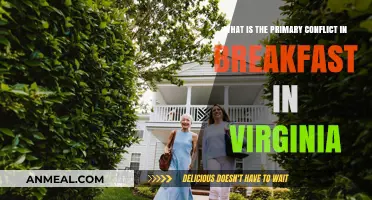 Breakfast in Virginia: Unraveling the Central Conflict and Its Impact