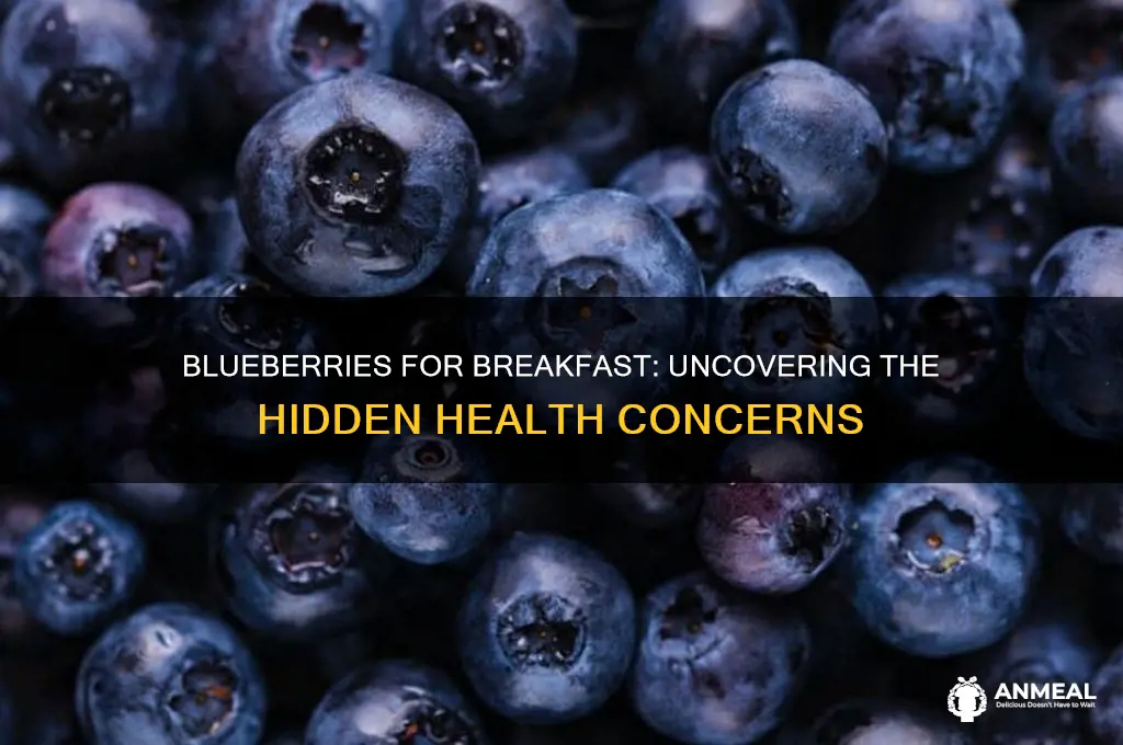 what is the problem with blueberries for breakfast