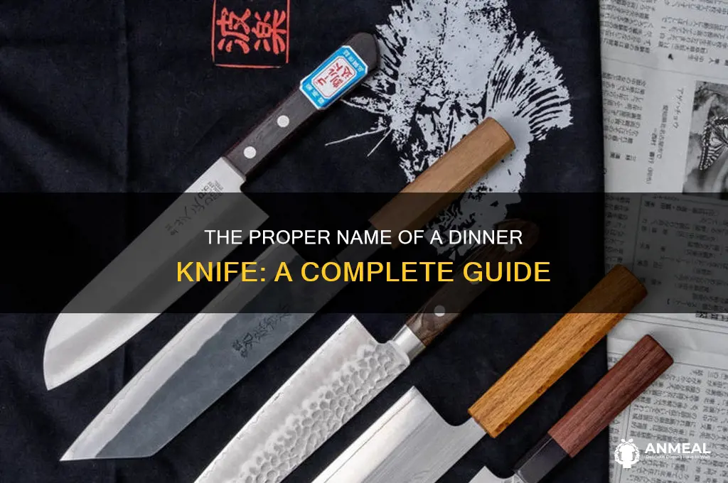 what is the proper name of a dinner knife