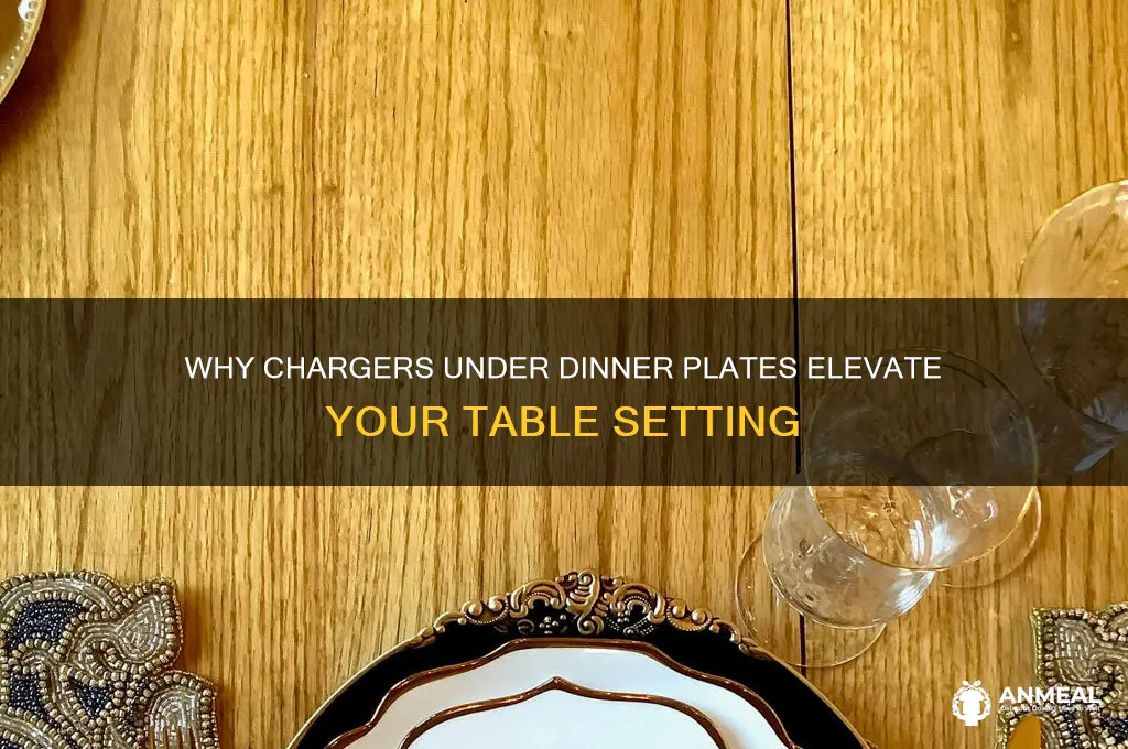 what is the purpose of chargers under dinner plates
