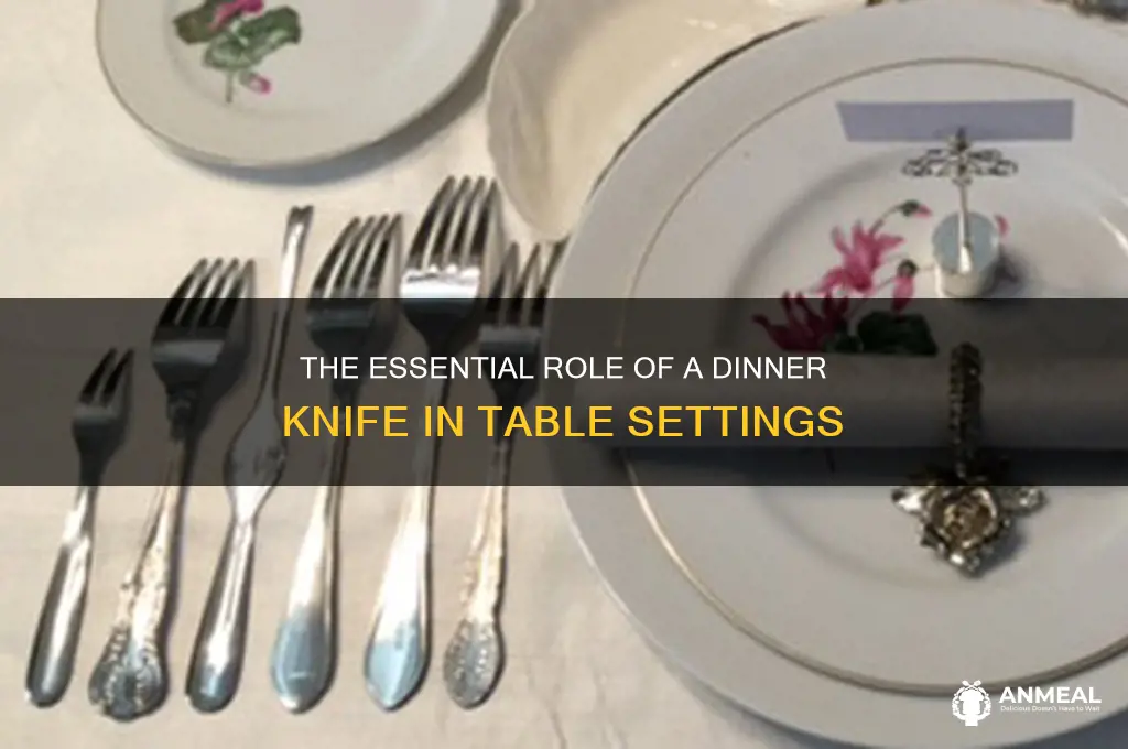what is the purpose of dinner knife