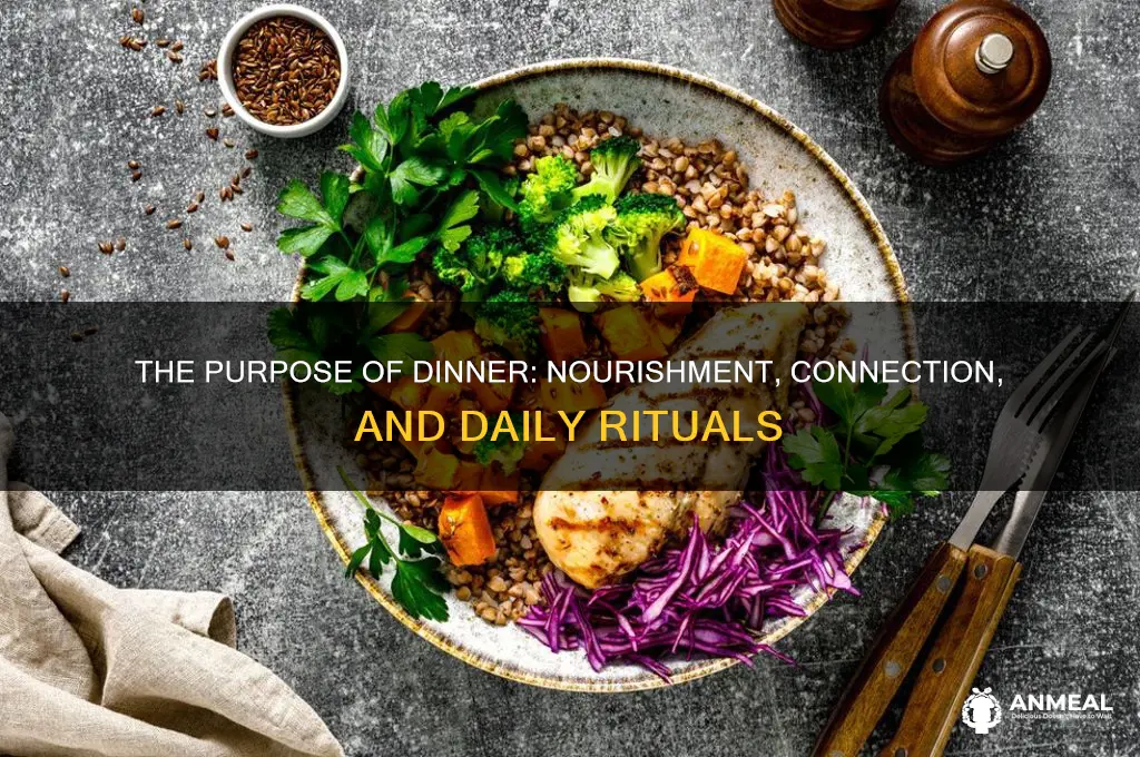 what is the purpose of dinner