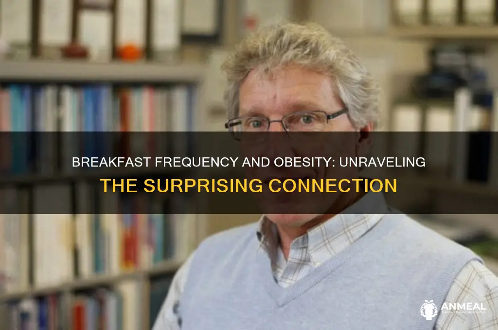 what is the relationship between breakfast frequency and obesity