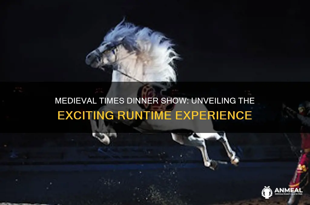 what is the runtime on a medieval times dinner