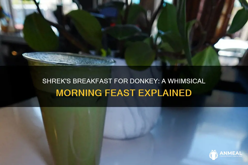 what is the shreck breakfast for donkey